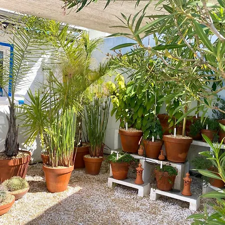 Primaveira Nur Fuer Erwachsene Holiday home Santa Barbara de Nexe