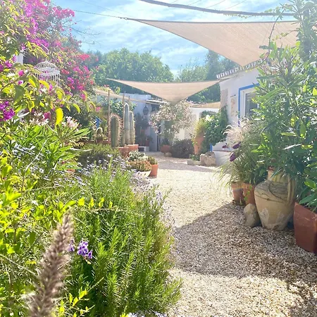 Semesterbostad Casa Da Aldeia